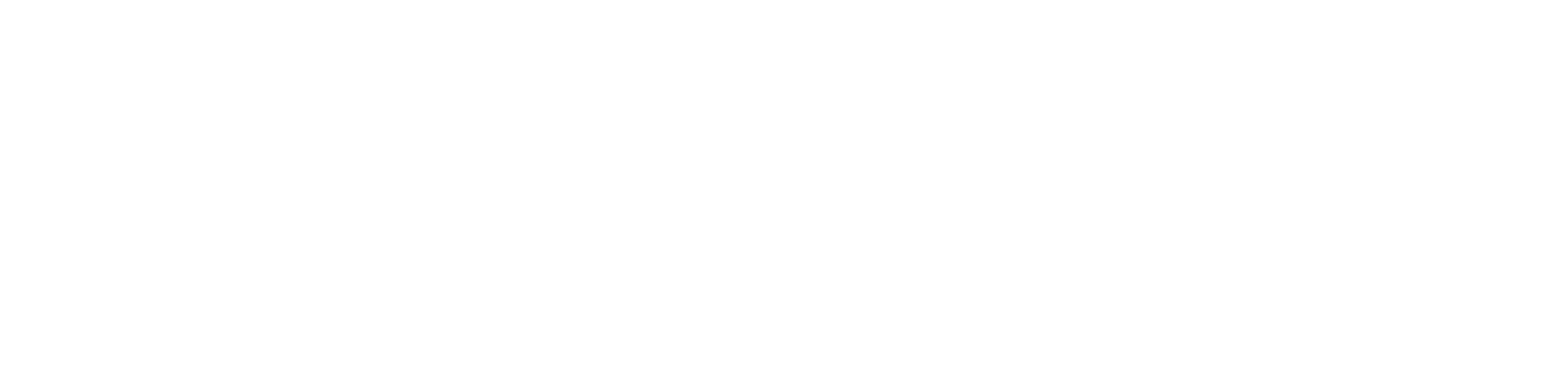 ElevaGX